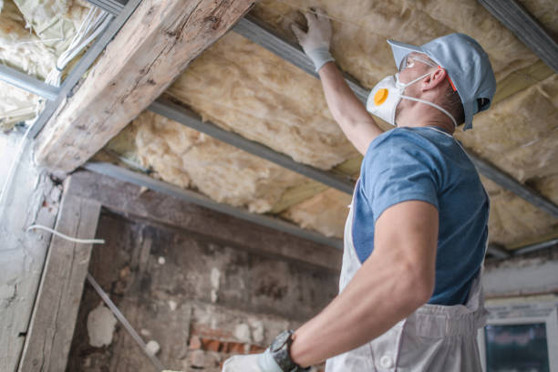 Best Insulation for Specific Applications in Seminole Manor, FL