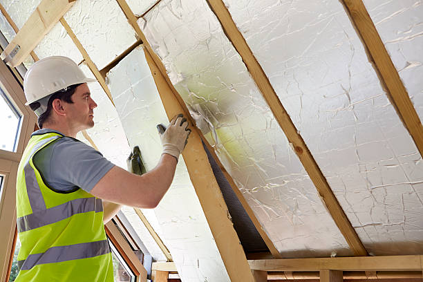 Best Insulation Maintenance and Repair in Seminole Manor, FL